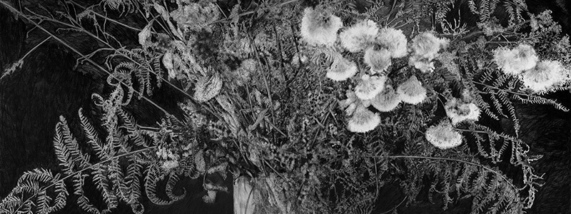 Anne-Lise Broyer